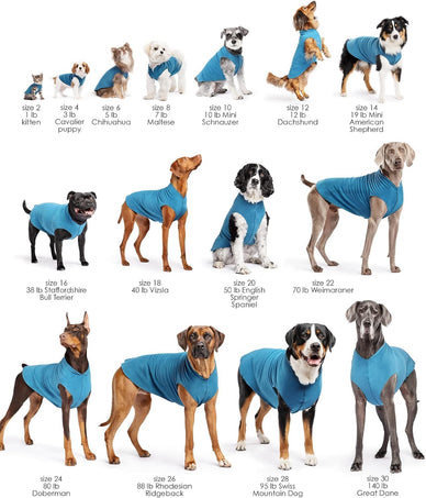 Keep Your Best Friend Warm and Happy!
